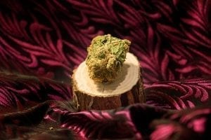 canada online marijuana jazz bud