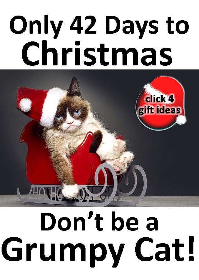 grumpy-cat-christmas.jpg