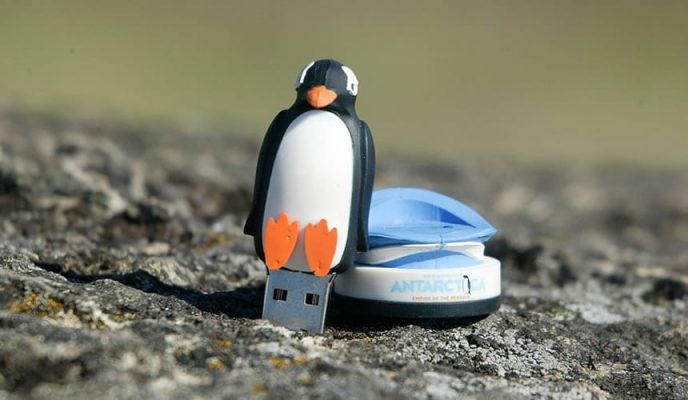 custom penguin shaped flash drive